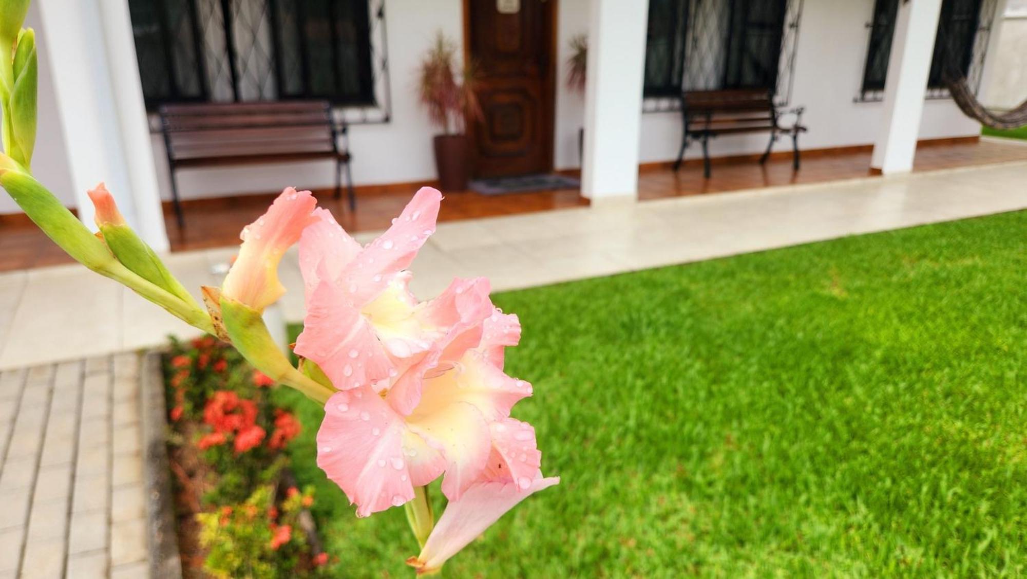 Apartamento Casa Hoffmann Pomerode Εξωτερικό φωτογραφία